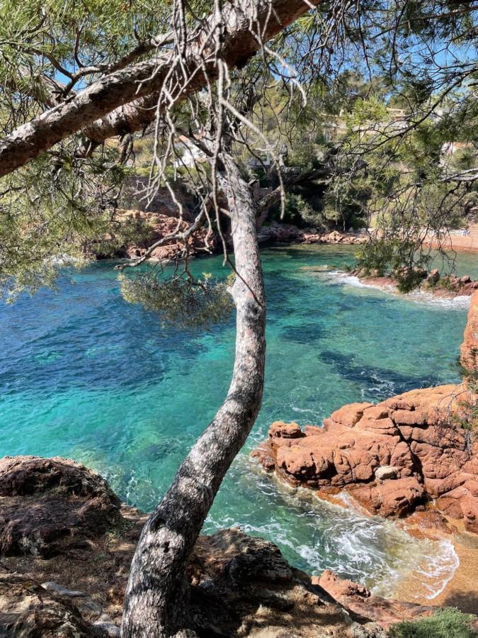 ホテル ル フロール Fréjus エクステリア 写真